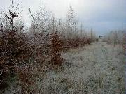 24soeren_lille.jpg (5960 bytes)